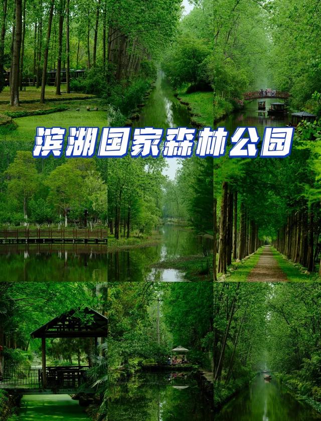 合肥必去的七大景点