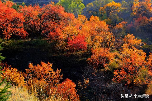 美两州秋景道火了！隧道藏总统像，游客抢拍暴走嗨