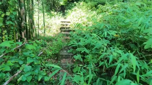 重庆南温泉发现废弃溶洞景区，内部层层石梯让人联想到盗墓笔记