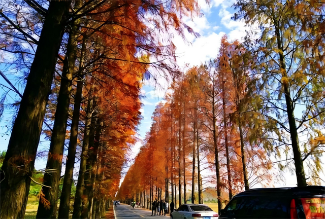 十五运会热浪来袭！韶关这3条线路让你边玩边燃脂，玩到不想回家！