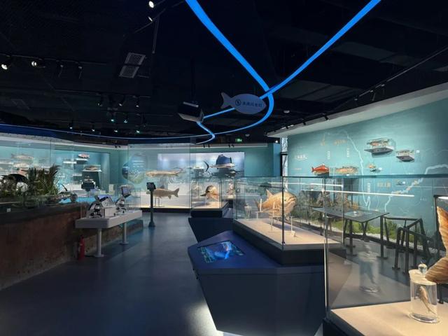 2026元旦打卡地图！全市景区活动集锦，一键解锁→