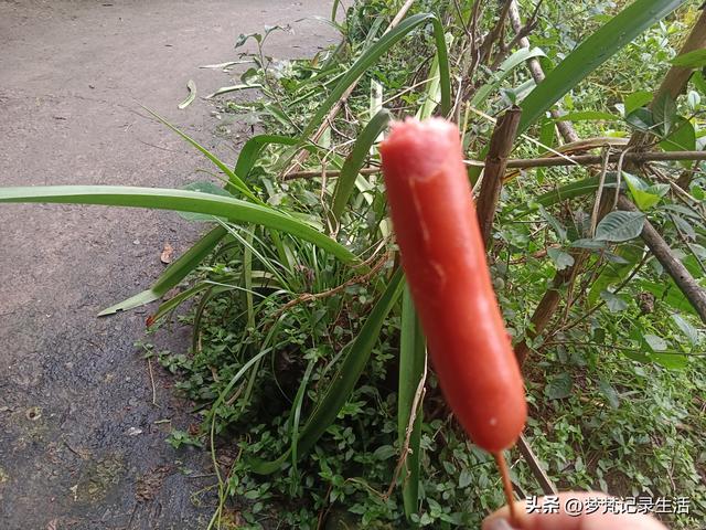 家门口旅游不用花钱真好啊！为了黄贝贝我把老脸都丢尽了