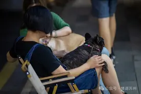 那些我在十全街“浪费”的时间图片
