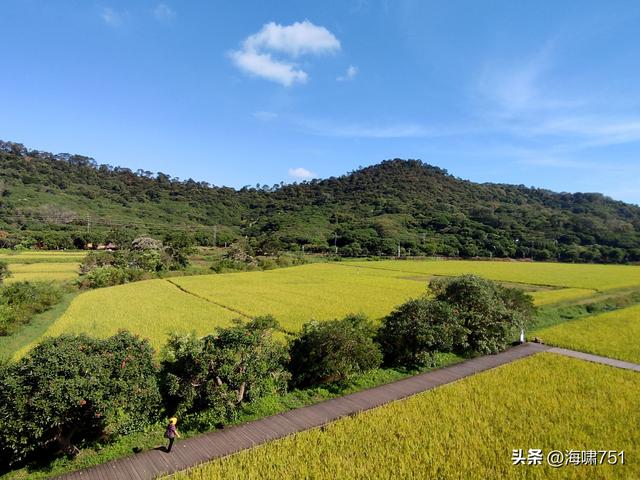 从化艾米稻香小镇