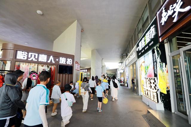 暑期夏令营 从雄关到绝壁|兰州市儿童福利院孩子续写历史寻访之旅 童心在河西走廊共绘成长画卷