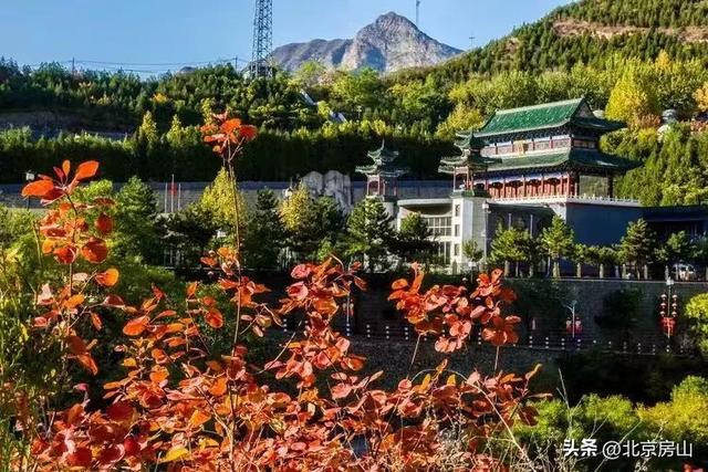 别等了！房山的秋景已经悄悄“上妆”了🤩🤩🤩