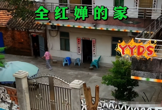阻工大树已修剪！婵宝家建房全力加速中，网友表示祝贺与期待