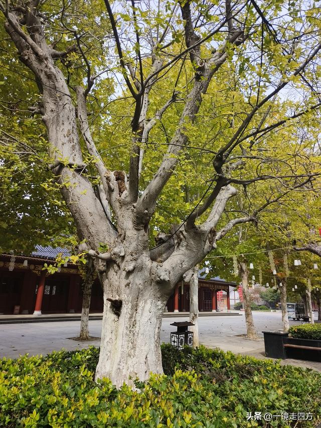 在“天仙配”传说的故事发生地孝感，建有一座“凤凰天仙城”