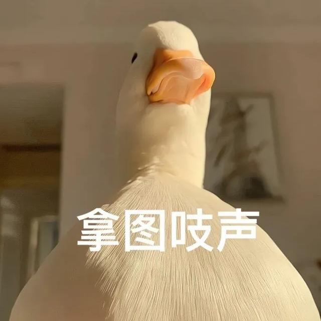 Share｜手机锁屏壁纸9.01