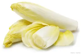 菊苣的别名，还有哪些?答案网分享给你图片