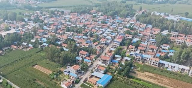 魅力曹县楼庄镇