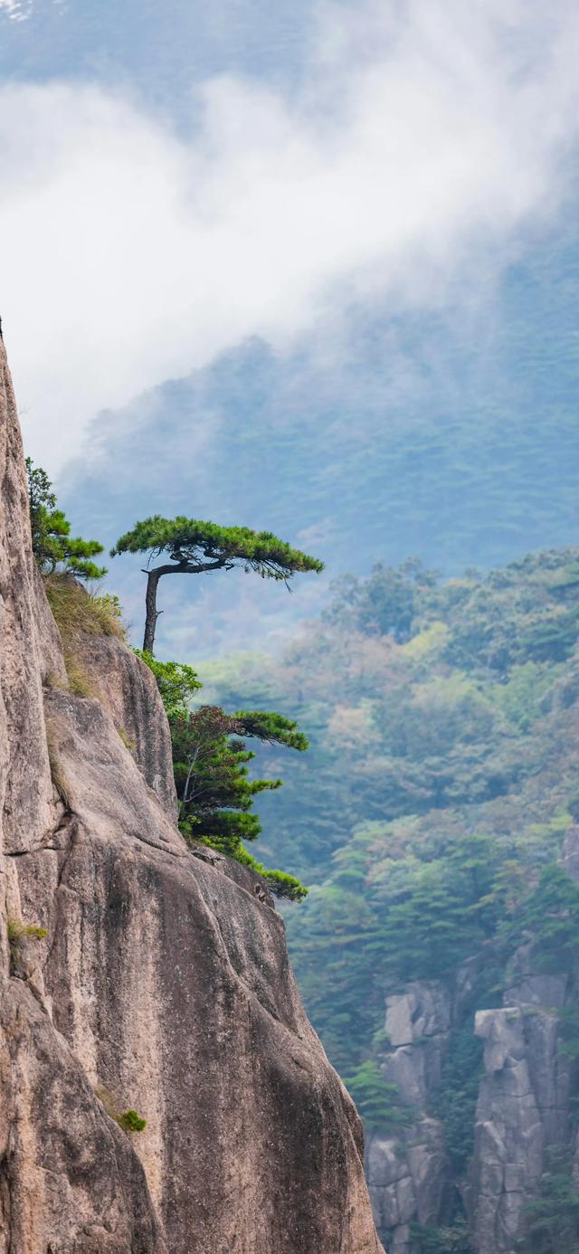 手机壁纸|风景