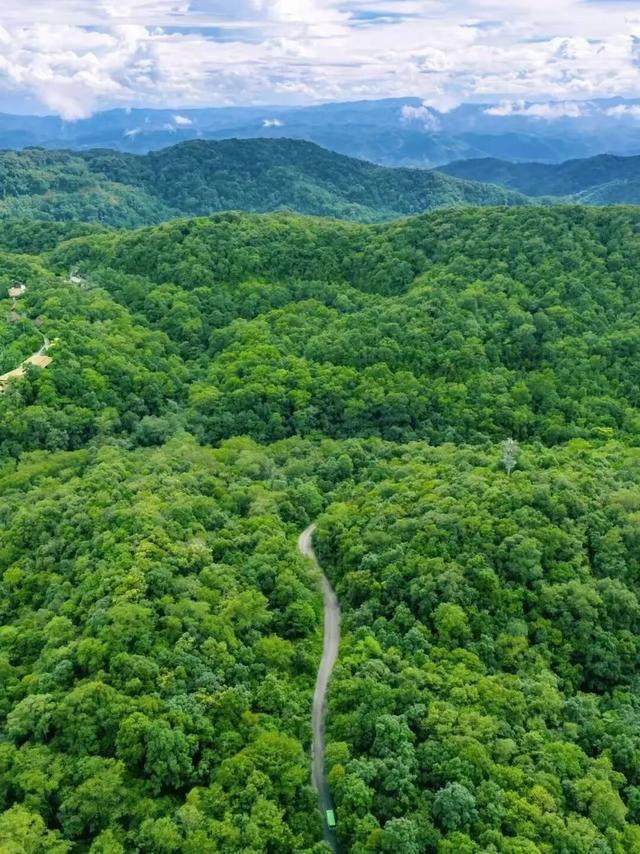 车轮停转，茶香登场！除了骑行，普洱的这些地方你值得去→