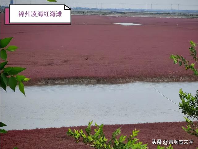 七月闲云行：沿海行记事