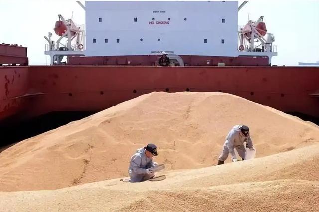 趁火打劫！巴西大豆对华猛涨价，买家集体暂停订单，静待2个时机