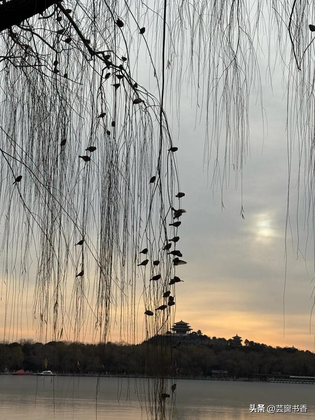 30分钟治愈你的焦虑，带你漫步最治愈的公园之一：北海公园