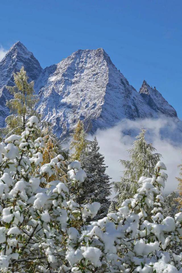 四川人盼初雪的心情谁懂！