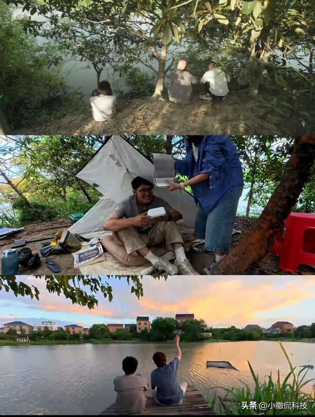 荒岛直播100小时烧光300万！这个男人凭什么让4150万人围观？