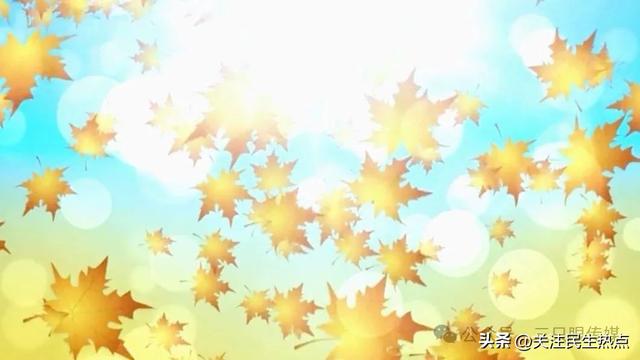 十年墨香烙心间：谁把岁月熬成章？“我与三只眼传媒这十年”征文