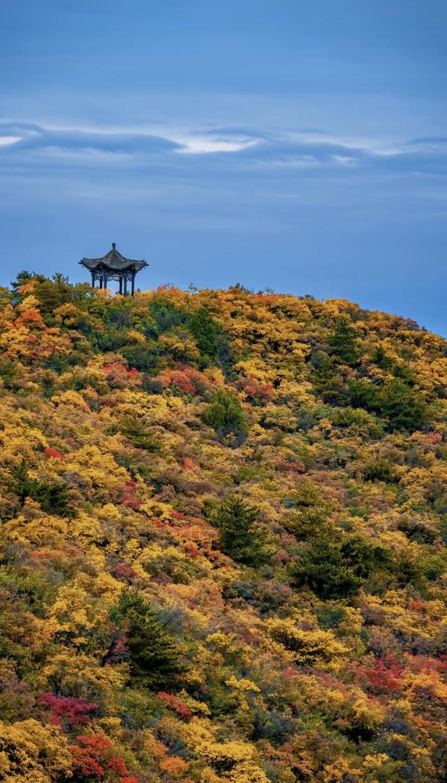 【文明旅游】太原：邂逅天龙山秋色，坐拥山水人文