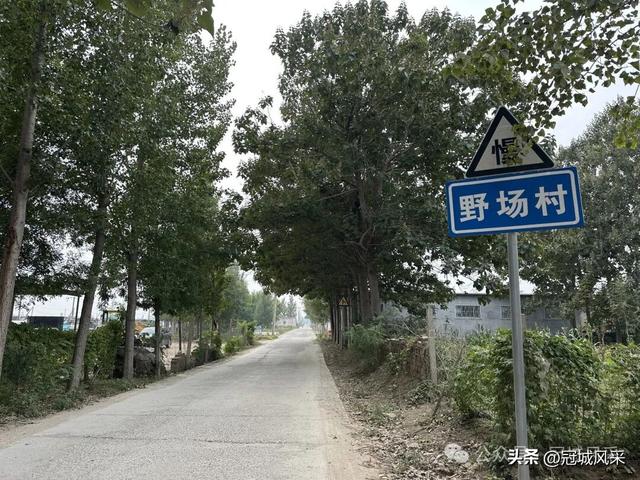 冠县乡韵·桑阿镇野场村