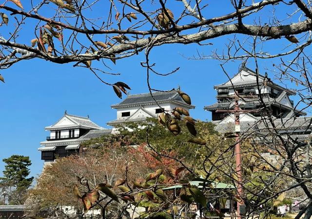 坂上之云，难攻不落：在爱媛松山城，走进日本最后的战国史诗