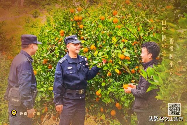 打卡文山最美秋冬，这份攻略千万别错过！