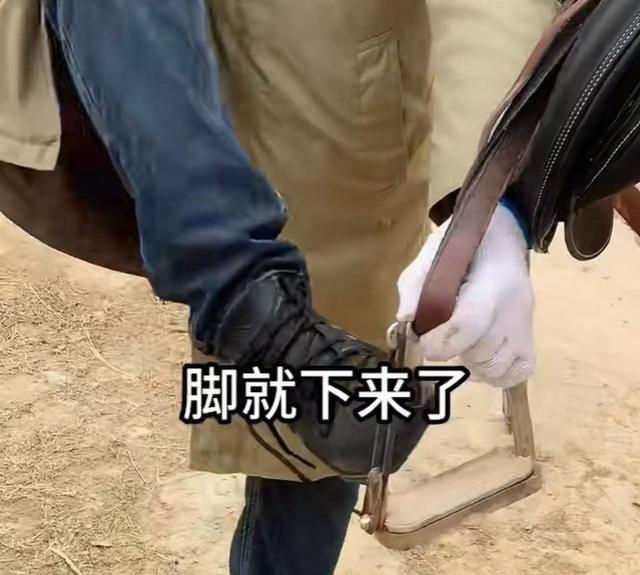 贺娇龙好友曝事发细节，养马人：掉马最怕脚被套牢，网友提醒成真