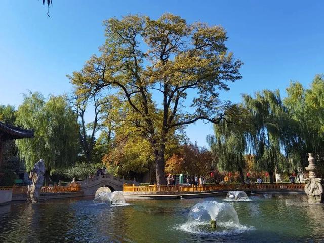 这个季节总要去趟正定，去邂逅那迷人的古建红和金秋黄！