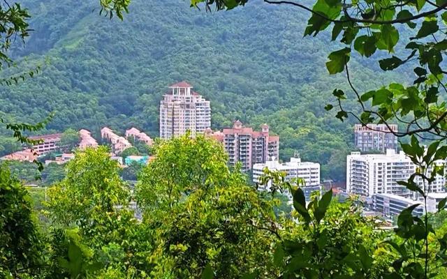 深圳笔架山山顶观光台，全景俯瞰深圳罗湖区摩天高楼群