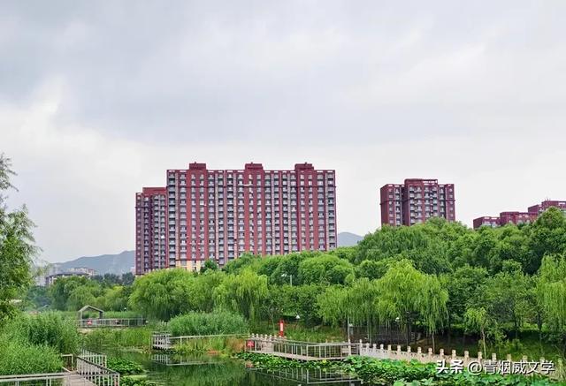 出伏啦（随记）