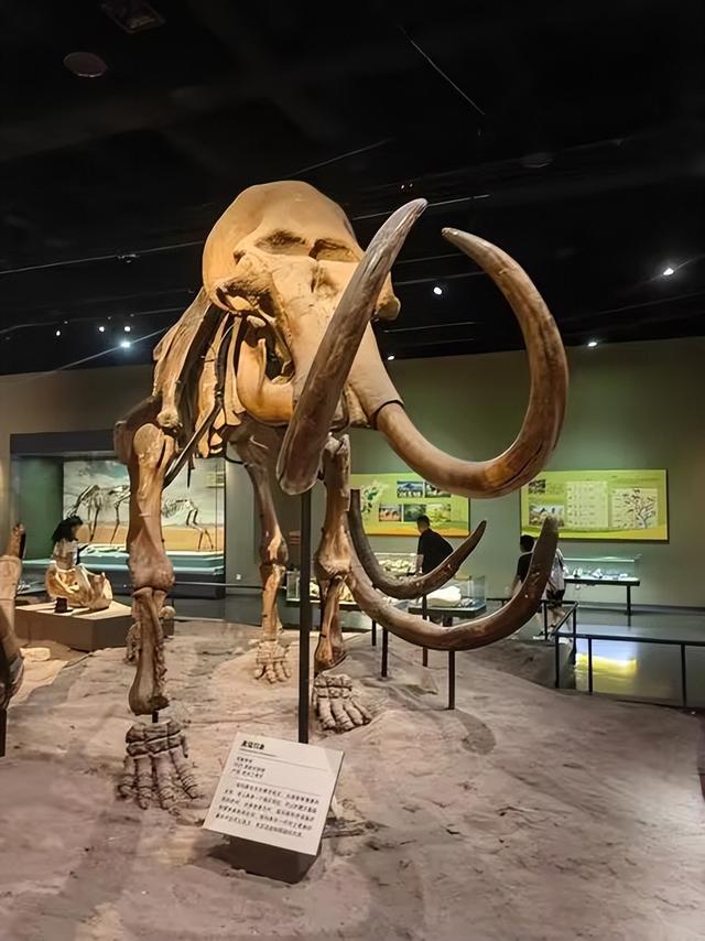 又踏甘肃地之七十三 白银篇之十三 白银市博物馆（2）