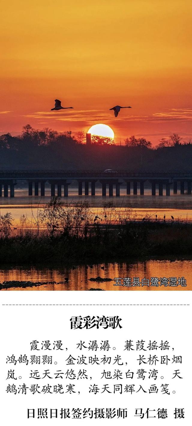 被拍到了！是日照的！