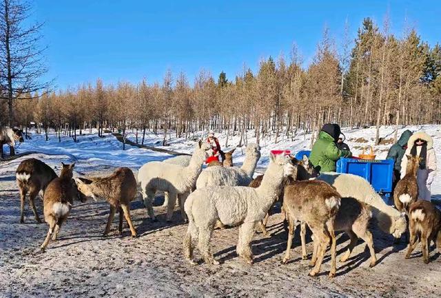 游览乌兰布统影视外景基地