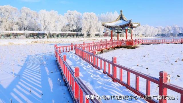 【迎旅发 看鸡西】七条主题线路玩转冷冬①冰韵江湖 乡村寻趣