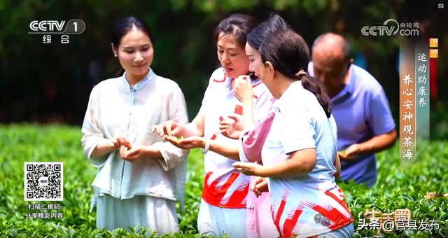 茶山牧场，入选省级典型案例！