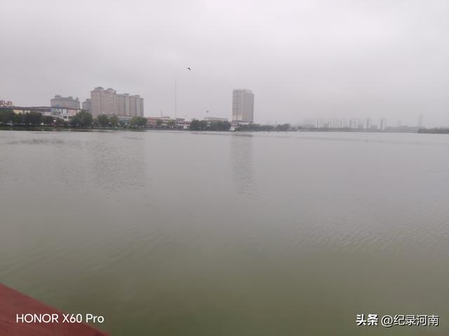 七上八下全国文明城市柘城县迎来汛期，晨练国家湿地公园榕湖发现