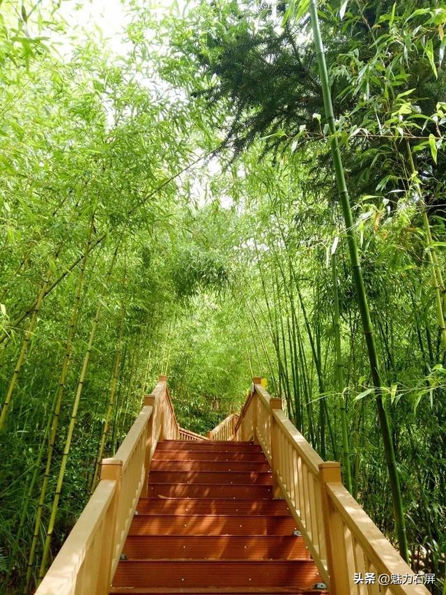 今日立秋 | 秋天的第一份清凉 石屏送给你