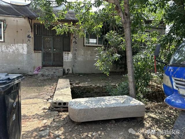 冠县乡韵·定远寨镇前杏园村