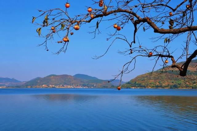 新华社：枣庄市中彩韵斑斓