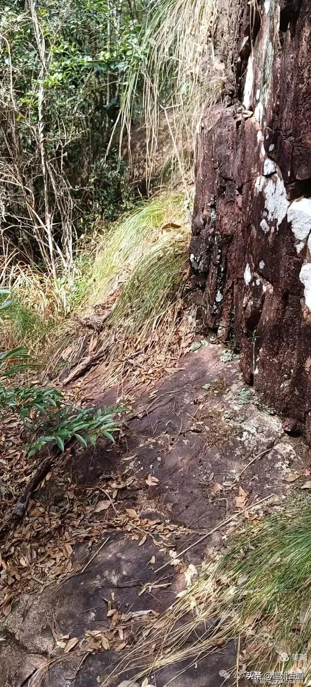 探秘楠溪江源头，深山中的秘境！