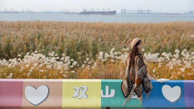 这样的张家港，我“All in”了！