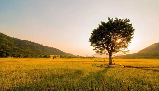 “香港赛马会”第六届中国（广州）从化户外休闲运动季即将开幕！