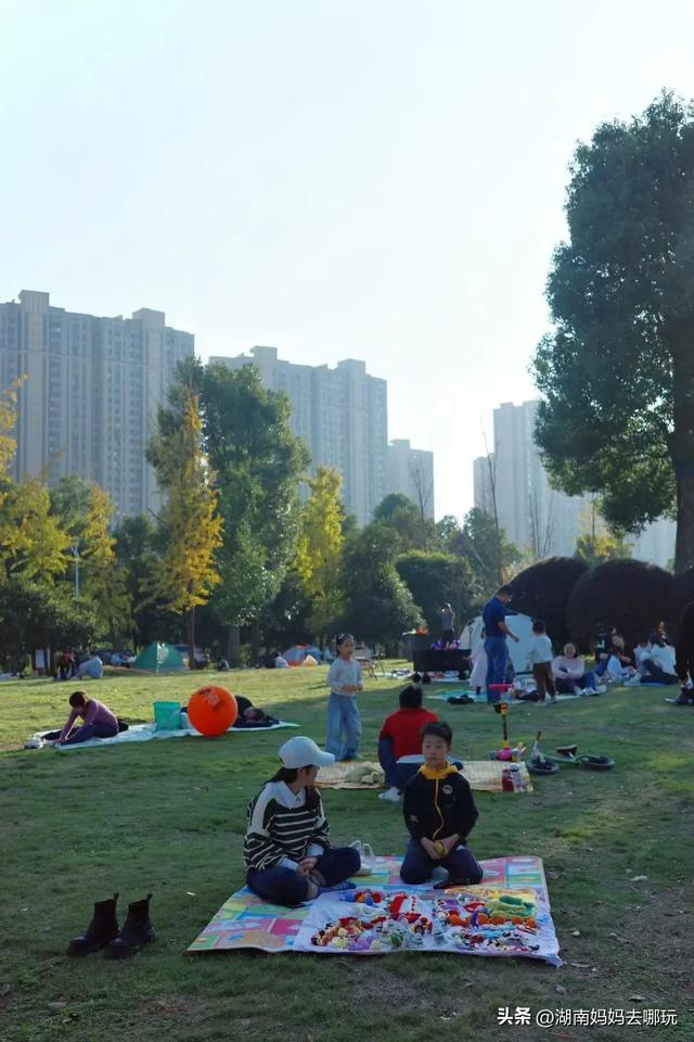 藏不住了!望城这片小众银杏秘境已到最佳观赏期,还能露营、骑行、摘果子