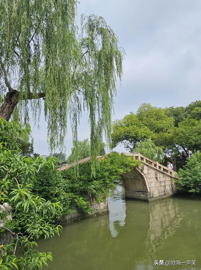 廋西湖在哪里？石桥，垂柳，奇树，小河，小舟，小猫，美不胜收