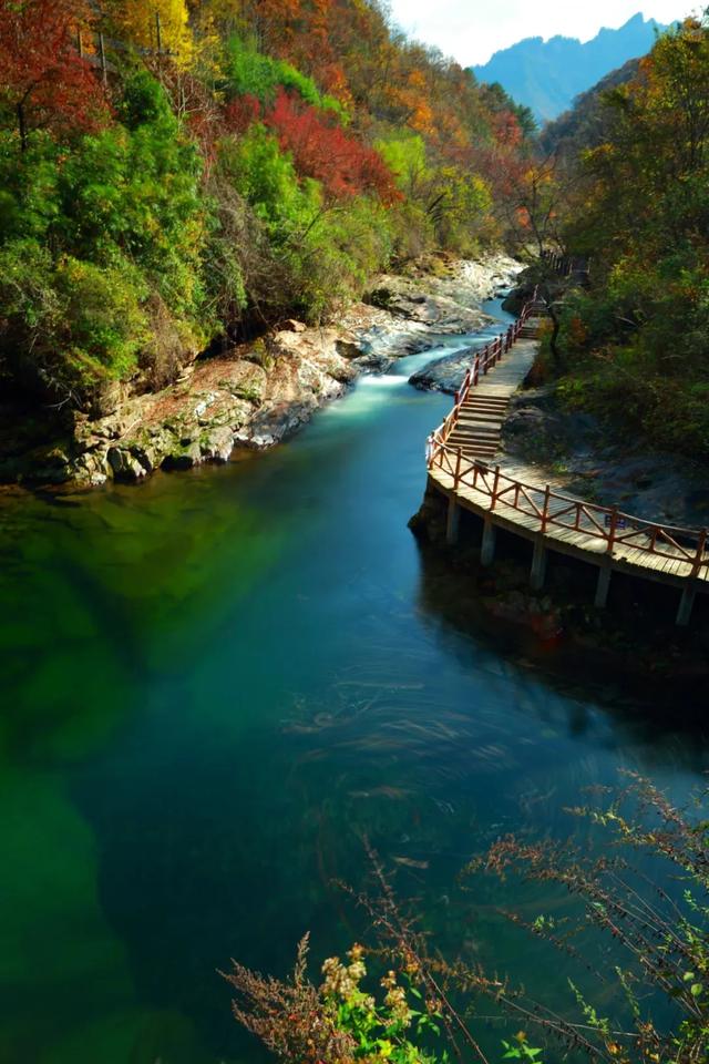 太洋公路已通车!去黄柏塬赏秋现在就出发!