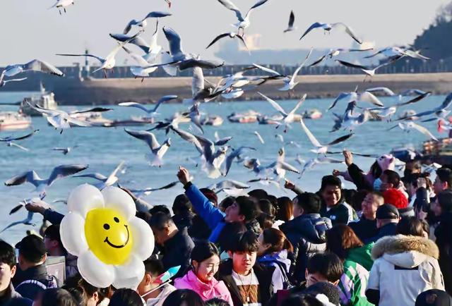 鸥鸣伴潮生：青岛栈桥的冬日限定浪漫