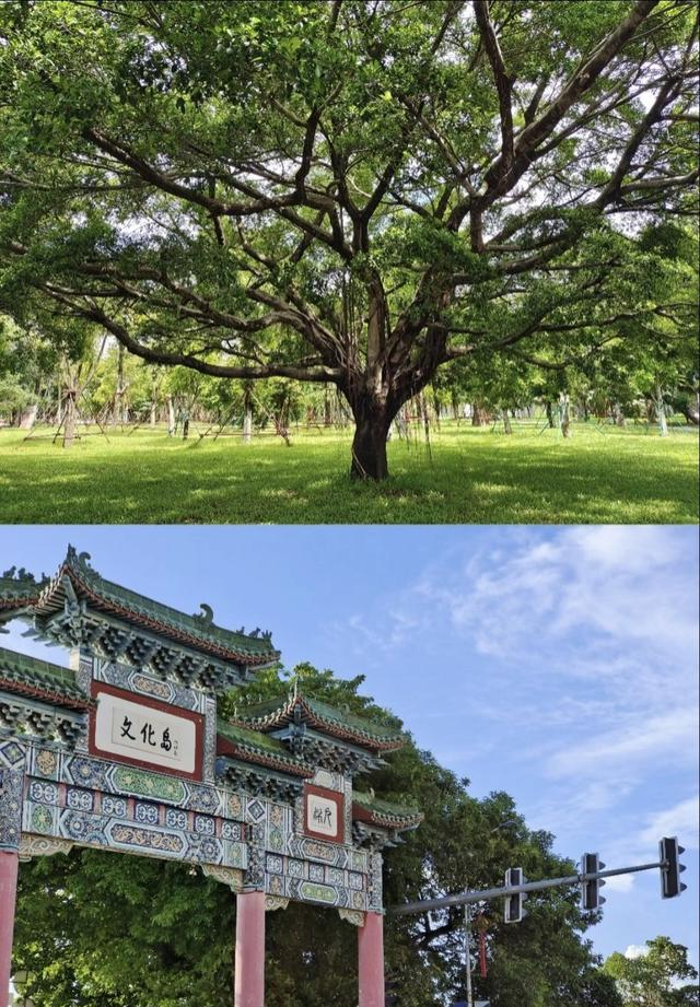 我是成都人，刚逛完广东吴川，满肚子的见闻和感受不吐不快。