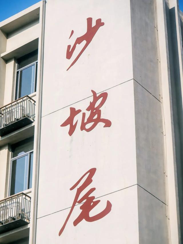 住进城市“C位”！来厦门，请你吃自助餐→
