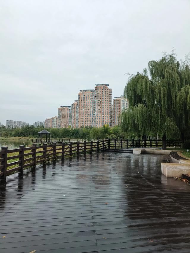 天津《梅江公园》